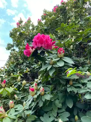 今市瀧尾神社の庭園