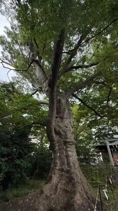 愛宕神社(福島県)