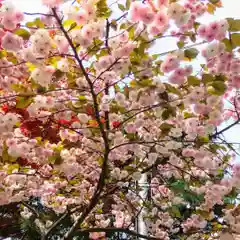 彌彦神社　(伊夜日子神社)の自然