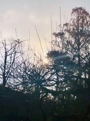 北野天満宮の景色