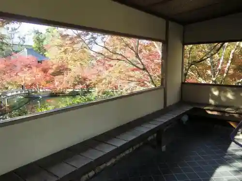 禅林寺（永観堂）の建物その他