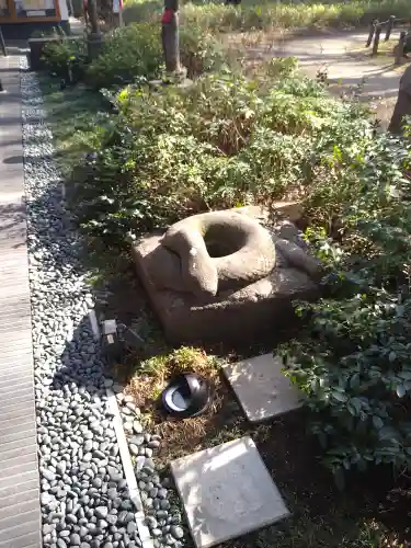 増上寺塔頭 三縁山 宝珠院の狛犬