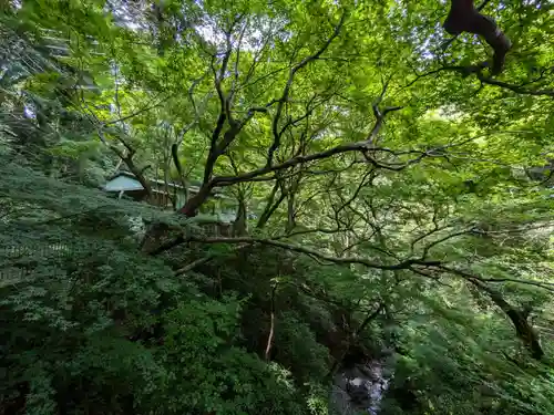 深澤銭洗弁財天の周辺