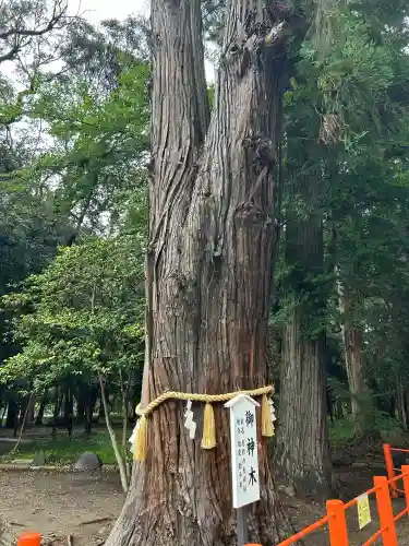 息栖神社(茨城県)
