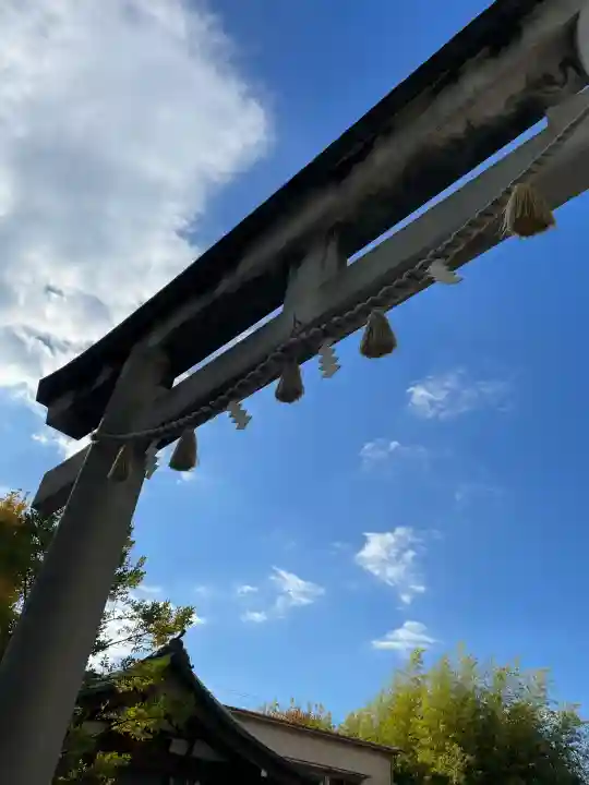 東神奈川熊野神社(神奈川県)