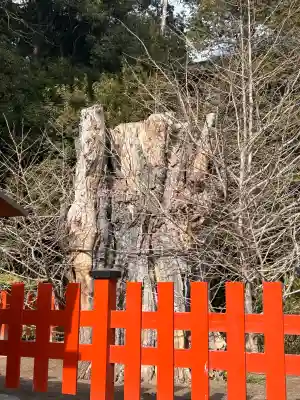 鶴岡八幡宮の{uncategorized: "未分類", other: "その他", undefined: "問題あり", building: "その他建物", grave: "お墓", sacred_gate: "鳥居", guardian: "狛犬", statue: "像", buddha: "仏像", history: "歴史", nature: "自然", garden: "庭園", animal: "動物", pagoda: "塔", temizu: "手水舎", mountain_gate: "山門・神門", sanctuary: "本殿・本堂", subordinate: "末社・摂社", art: "芸術", scenery: "景色", jizo: "地蔵", ema: "絵馬", goshuin: "御朱印", omikuji: "おみくじ", items: "授与品その他", amulet: "お守り", goshuincho: "御朱印帳", eats: "食事", festival: "お祭り", votive_dance: "神楽", shichigosan: "七五三参", wedding: "結婚式", experience: "体験その他", initially: "初詣", around: "周辺", anti_infection: "感染症対策"}