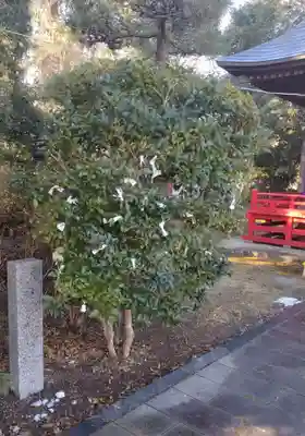 神明社(宮城県)