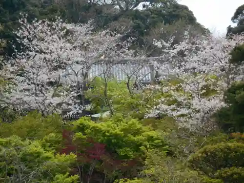 長谷寺の庭園