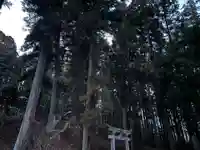 大宮温泉神社(栃木県)