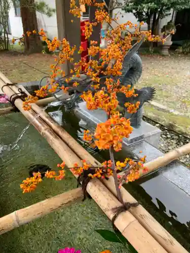 今市報徳二宮神社の手水舎