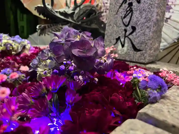 札幌諏訪神社の手水舎