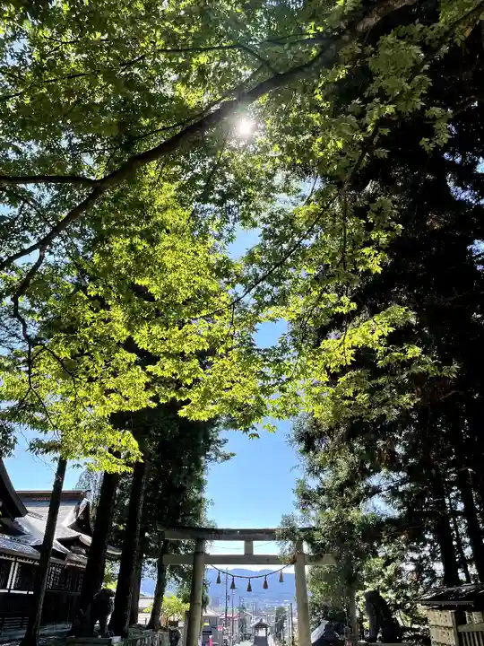 諏訪大社下社春宮(長野県)