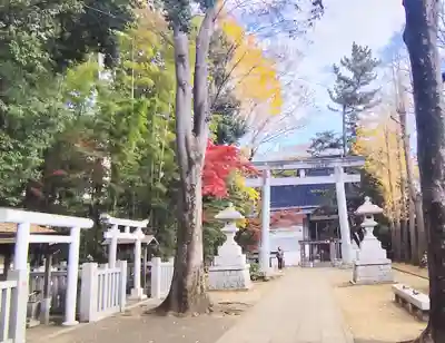 荻窪八幡神社(東京都)