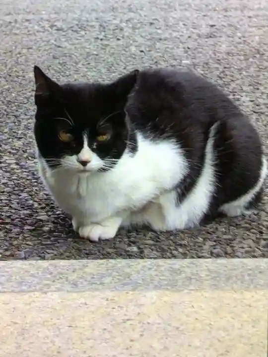 白金氷川神社(東京都)