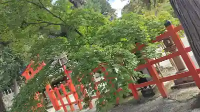 吉田神社(京都府)