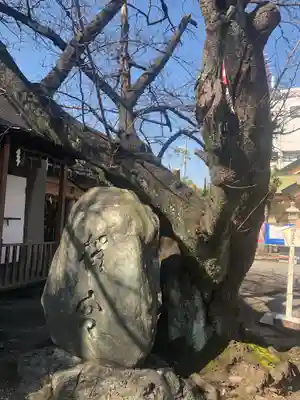 櫻宮のその他建物