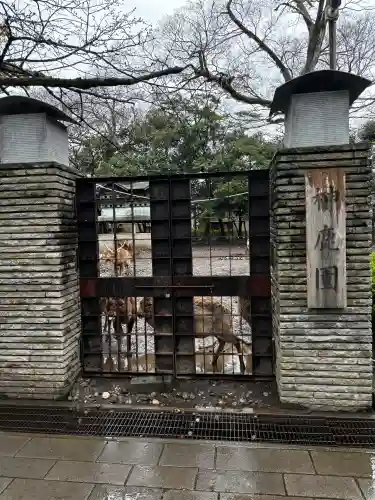 三嶋大社の{uncategorized: "未分類", other: "その他", undefined: "問題あり", building: "その他建物", grave: "お墓", sacred_gate: "鳥居", guardian: "狛犬", statue: "像", buddha: "仏像", history: "歴史", nature: "自然", garden: "庭園", animal: "動物", pagoda: "塔", temizu: "手水舎", mountain_gate: "山門・神門", sanctuary: "本殿・本堂", subordinate: "末社・摂社", art: "芸術", scenery: "景色", jizo: "地蔵", ema: "絵馬", goshuin: "御朱印", omikuji: "おみくじ", items: "授与品その他", amulet: "お守り", goshuincho: "御朱印帳", eats: "食事", festival: "お祭り", votive_dance: "神楽", shichigosan: "七五三参", wedding: "結婚式", experience: "体験その他", initially: "初詣", around: "周辺", anti_infection: "感染症対策"}