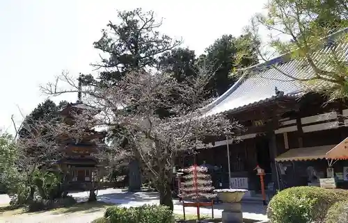 海住山寺の本殿・本堂