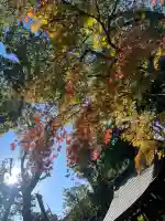六郷神社(東京都)