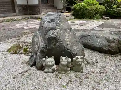 龍澤寺(京都府)