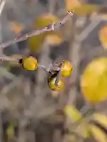 寳幢院(東京都)
