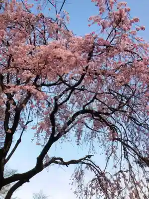下高井戸八幡神社(東京都)