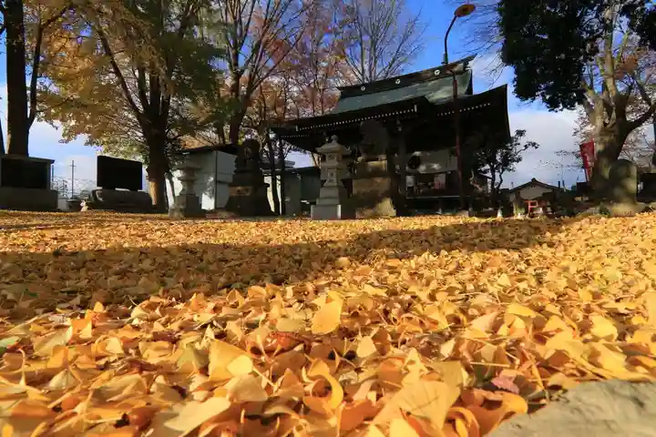 熊野福藏神社の本殿・本堂