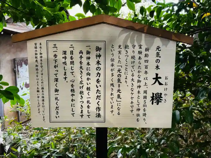 鎮守氷川神社(埼玉県)