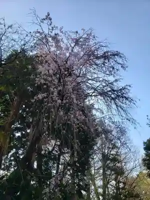宝福寺(東京都)