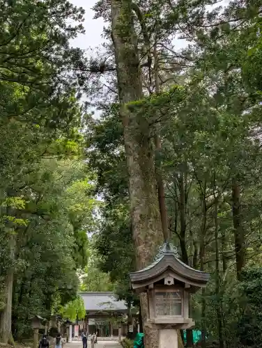 雄山神社前立社壇の{uncategorized: "未分類", other: "その他", undefined: "問題あり", building: "その他建物", grave: "お墓", sacred_gate: "鳥居", guardian: "狛犬", statue: "像", buddha: "仏像", history: "歴史", nature: "自然", garden: "庭園", animal: "動物", pagoda: "塔", temizu: "手水舎", mountain_gate: "山門・神門", sanctuary: "本殿・本堂", subordinate: "末社・摂社", art: "芸術", scenery: "景色", jizo: "地蔵", ema: "絵馬", goshuin: "御朱印", omikuji: "おみくじ", items: "授与品その他", amulet: "お守り", goshuincho: "御朱印帳", eats: "食事", festival: "お祭り", votive_dance: "神楽", shichigosan: "七五三参", wedding: "結婚式", experience: "体験その他", initially: "初詣", around: "周辺", anti_infection: "感染症対策"}