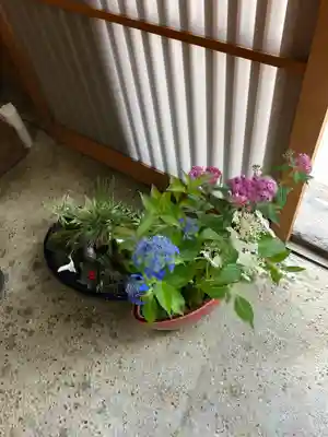 大福寺(京都府)