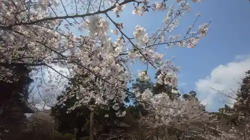 園城寺（三井寺）(滋賀県)