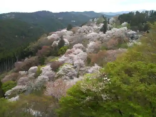 金峯山寺の景色