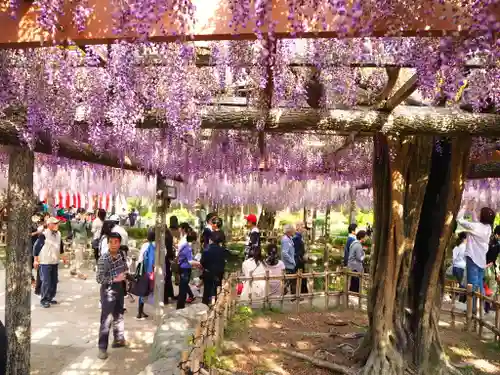 津島神社の庭園