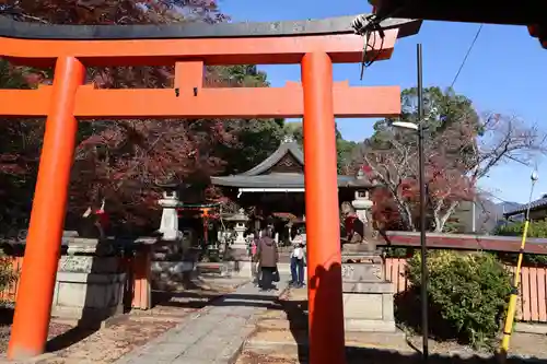 竹中稲荷神社（吉田神社末社）(京都府)