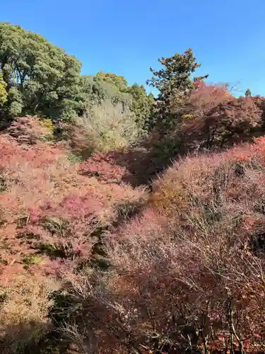 東福禅寺（東福寺）(京都府)