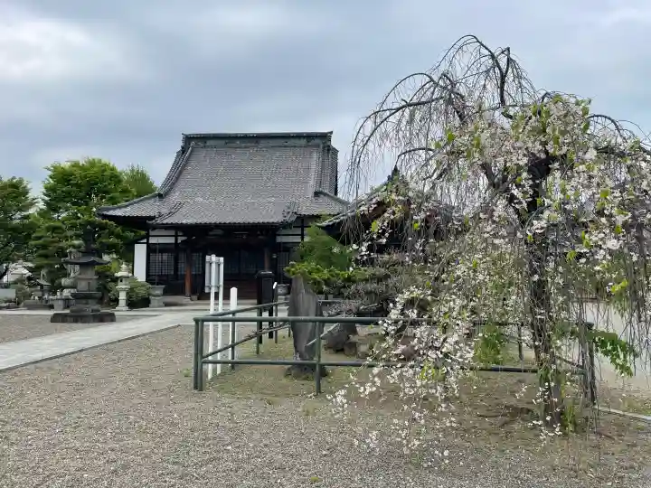 養報寺の{uncategorized: "未分類", other: "その他", undefined: "問題あり", building: "その他建物", grave: "お墓", sacred_gate: "鳥居", guardian: "狛犬", statue: "像", buddha: "仏像", history: "歴史", nature: "自然", garden: "庭園", animal: "動物", pagoda: "塔", temizu: "手水舎", mountain_gate: "山門・神門", sanctuary: "本殿・本堂", subordinate: "末社・摂社", art: "芸術", scenery: "景色", jizo: "地蔵", ema: "絵馬", goshuin: "御朱印", omikuji: "おみくじ", items: "授与品その他", amulet: "お守り", goshuincho: "御朱印帳", eats: "食事", festival: "お祭り", votive_dance: "神楽", shichigosan: "七五三参", wedding: "結婚式", experience: "体験その他", initially: "初詣", around: "周辺", anti_infection: "感染症対策"}