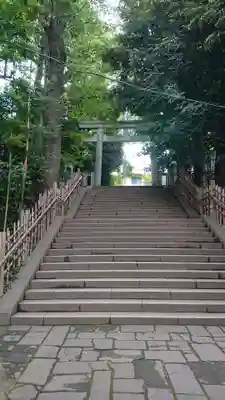 渋谷氷川神社の鳥居