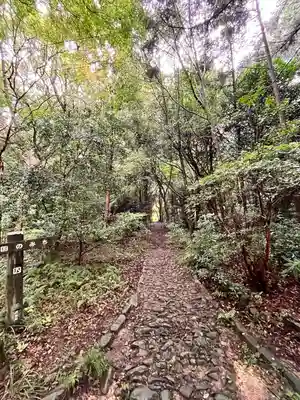 大麻比古神社(徳島県)