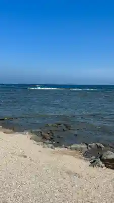 青島神社（青島神宮）(宮崎県)