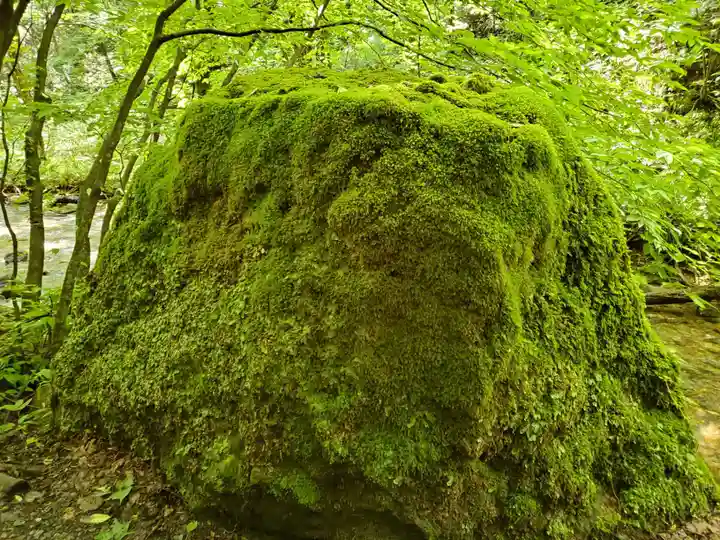 達沢不動滝の自然