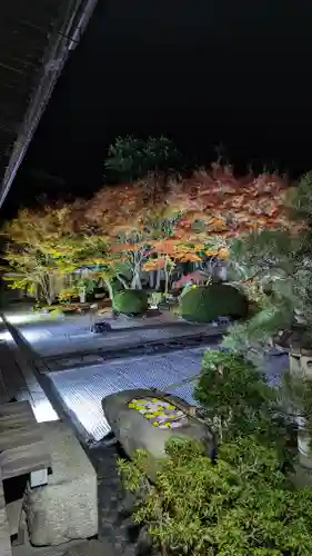 妙顯寺（妙顕寺）(京都府)