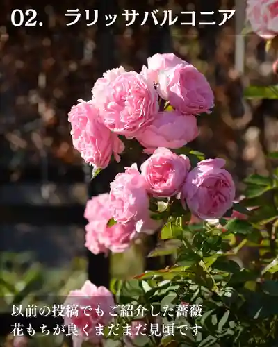 宝光寺(北海道)