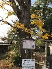 大宮神社の建物その他