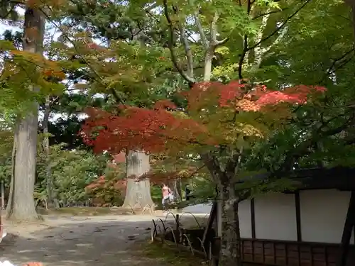 毛越寺の建物その他