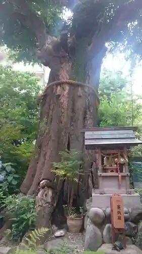 名古屋東照宮の末社・摂社