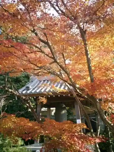 浄光明寺のその他建物