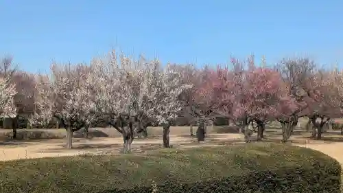 下野薬師寺 (旧 安國寺)の{uncategorized: "未分類", other: "その他", undefined: "問題あり", building: "その他建物", grave: "お墓", sacred_gate: "鳥居", guardian: "狛犬", statue: "像", buddha: "仏像", history: "歴史", nature: "自然", garden: "庭園", animal: "動物", pagoda: "塔", temizu: "手水舎", mountain_gate: "山門・神門", sanctuary: "本殿・本堂", subordinate: "末社・摂社", art: "芸術", scenery: "景色", jizo: "地蔵", ema: "絵馬", goshuin: "御朱印", omikuji: "おみくじ", items: "授与品その他", amulet: "お守り", goshuincho: "御朱印帳", eats: "食事", festival: "お祭り", votive_dance: "神楽", shichigosan: "七五三参", wedding: "結婚式", experience: "体験その他", initially: "初詣", around: "周辺", anti_infection: "感染症対策"}