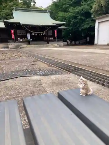 峯ヶ岡八幡神社(埼玉県)