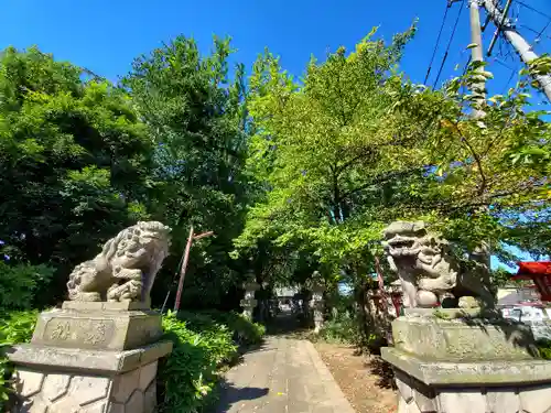 神炊館神社 ⁂奥州須賀川総鎮守⁂の狛犬